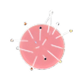 pin